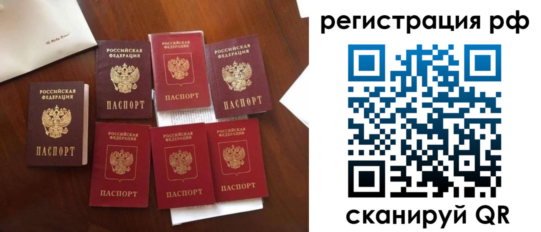 пропишу в квартире в Балашихе